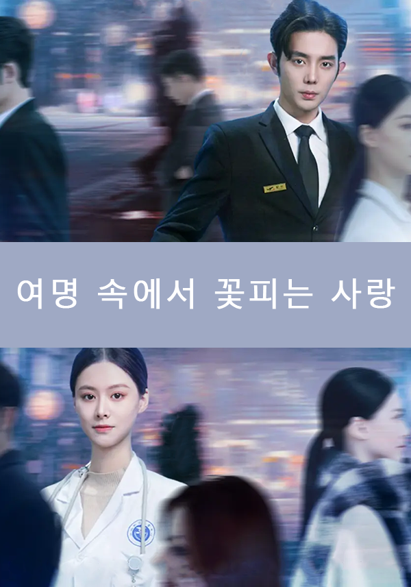 여명 속에서 꽃피는 사랑
